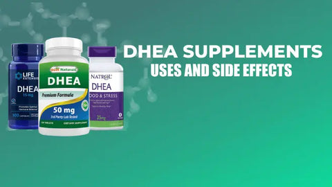 DHEA Supplements - Uses, Benefits, Sources, and Effects HerbsPro