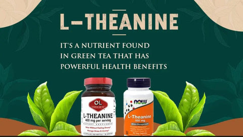 L-Theanine: It’s a nutrient found in green tea that has powerful health benefits. HerbsPro