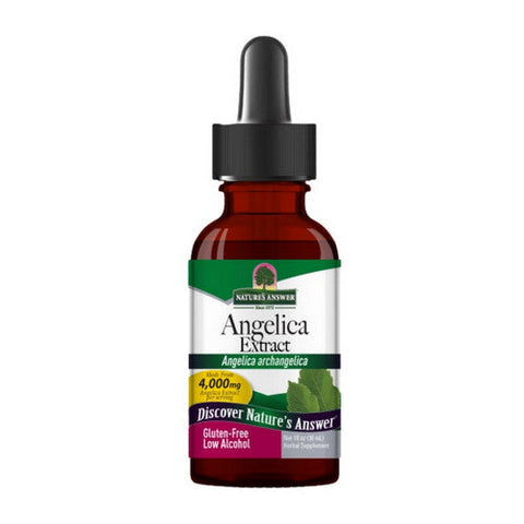 Nature's Answer, Angelica Root Extract, 1 Oz Nature's Answer
