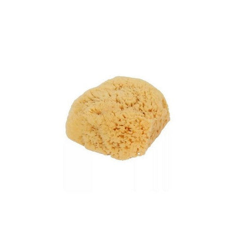 Bass Brushes, Body Care Natural Sea Sponge, 1 Count Bass Brushes