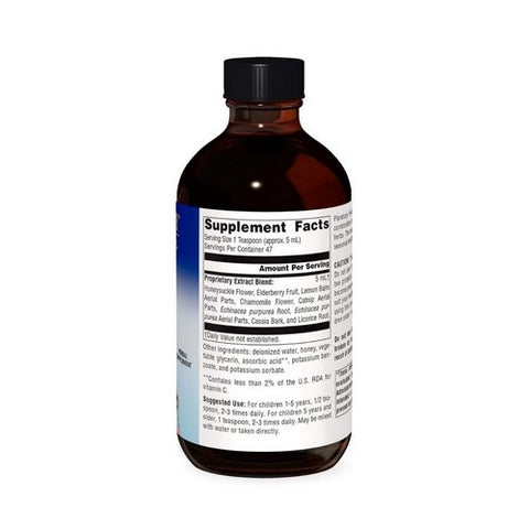 Planetary Herbals, Well Child Echinacea-Elderberry Syrup, 8 Oz