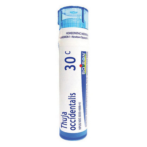 Boiron, Thuja Occidentalis, 80 Count Boiron