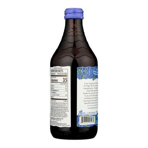 Humm Kombucha, Organic Blueberry Mint Kombucha, 14 Oz (Case Of 12) Humm Kombucha