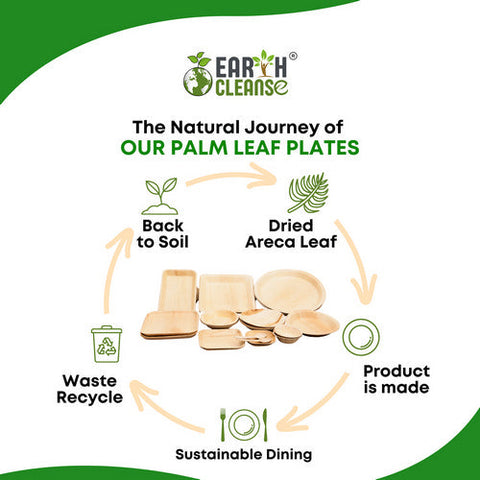 Earth Cleanse, Areca Palm Leaf Square Plates 7-Inch, Pack of 25 Earth Cleanse