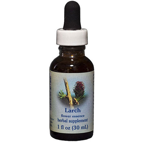 Flower Essence Services, Larch Dropper, 1 oz Flower Essence Services